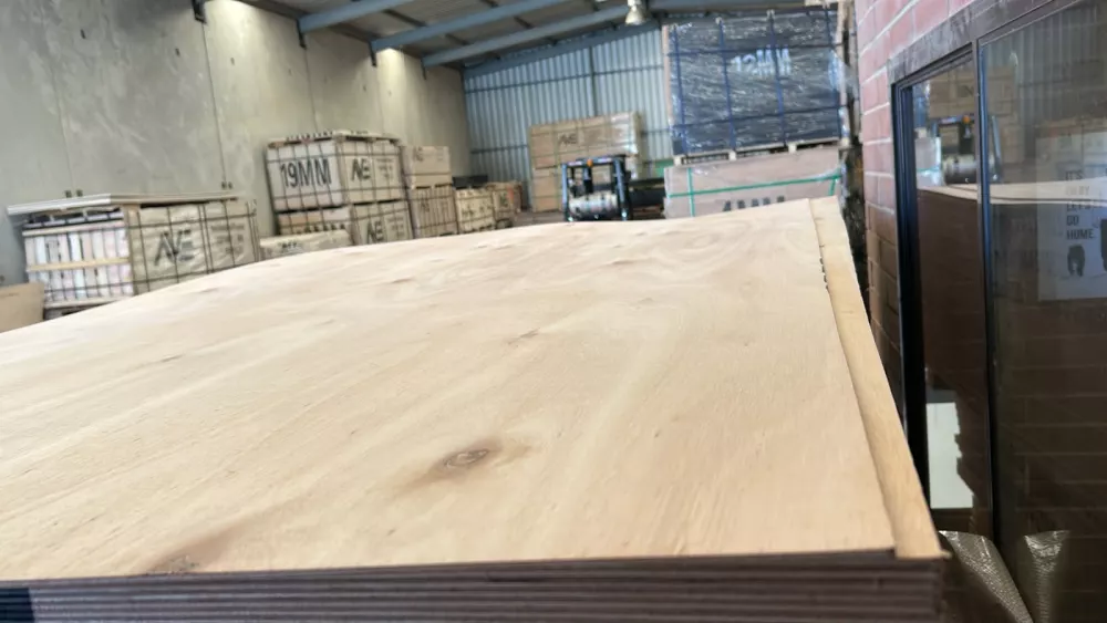 F22 bracing 920 x 2740 4mm